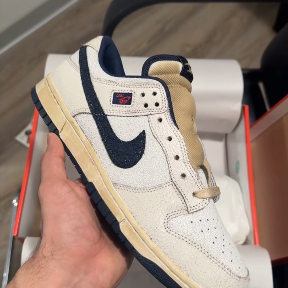 Nike Men's stranger things dunks limited edition